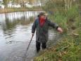 Willy van Lanen verwijderd riet IMG 2456