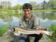 IMG-20130507-WA0027